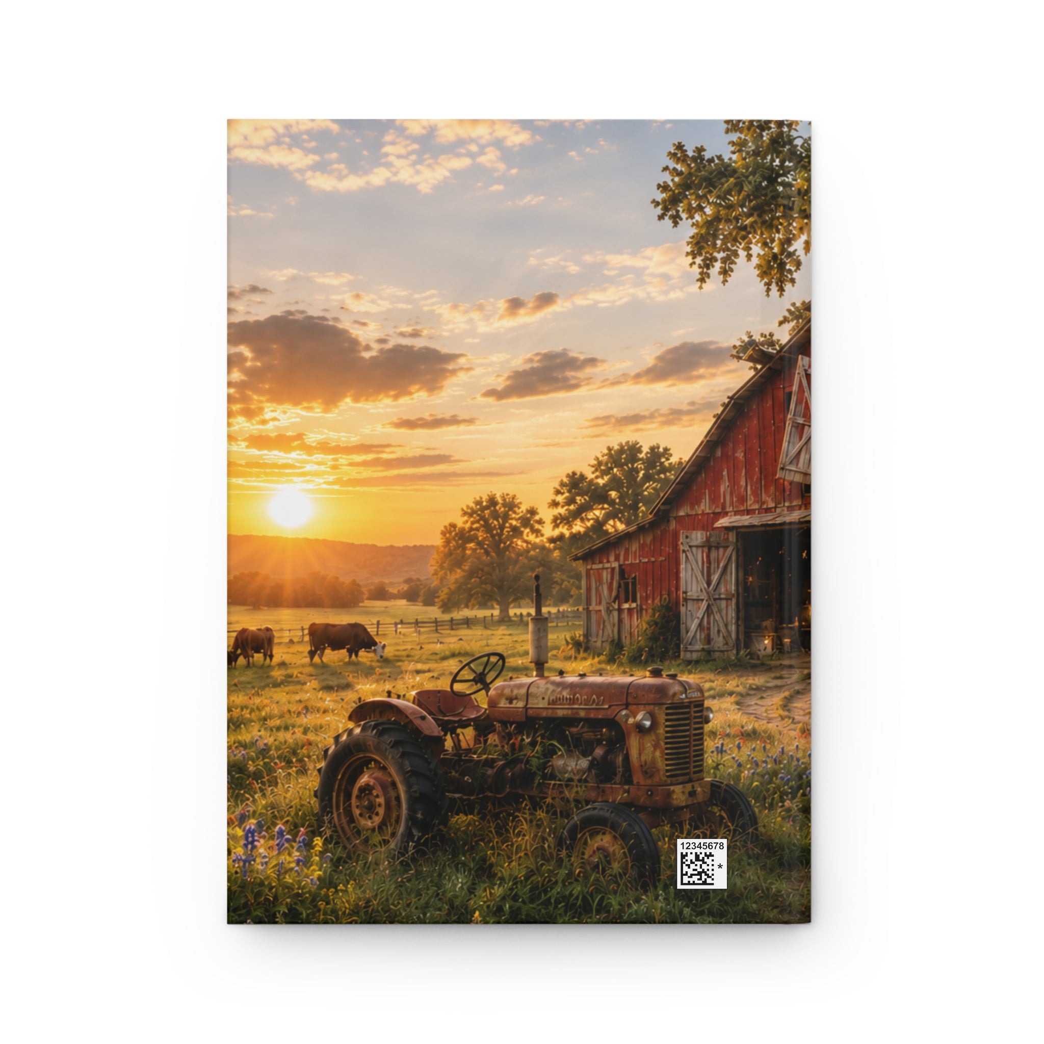 The Old Red Barn