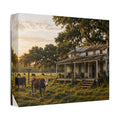 The Good Old Homestead