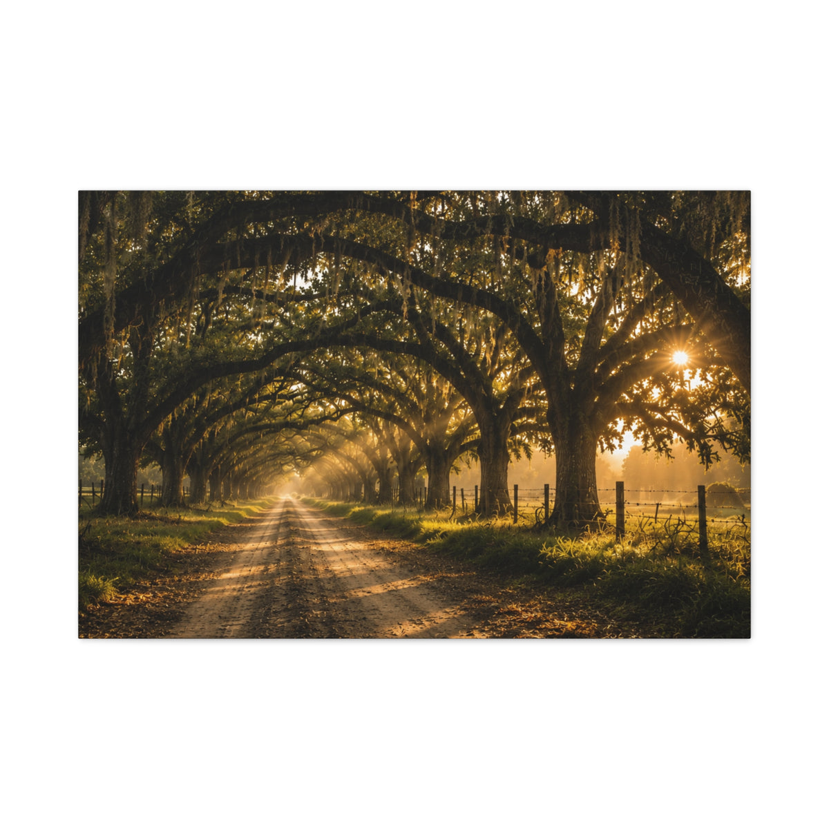 A rectangular Sunday Morning wall art print showing a sunlit dirt road beneath a tunnel of moss-draped oak trees, with fences and warm morning light filtering through the branches, centered on a light gray background.