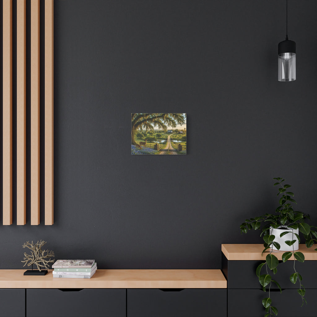 Modern interior with a dark wall, wooden shelf, and decorative items.