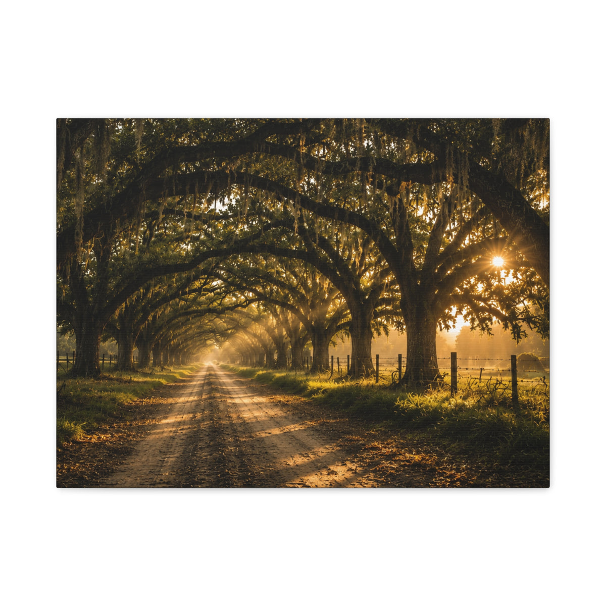 A rectangular Sunday Morning canvas print showing a sunlit dirt road beneath a tunnel of moss-draped oak trees, with fences and warm morning light filtering through the branches, photographed on a white background.