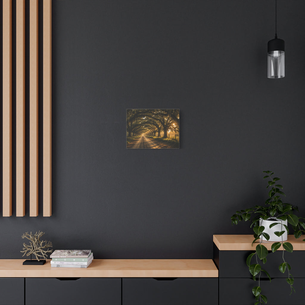 A Sunday Morning canvas print showing a sunlit dirt road beneath a tunnel of moss-draped oak trees, with fences and warm morning light filtering through the branches, displayed on a dark gray wall above a wooden console with a plant and hanging light.