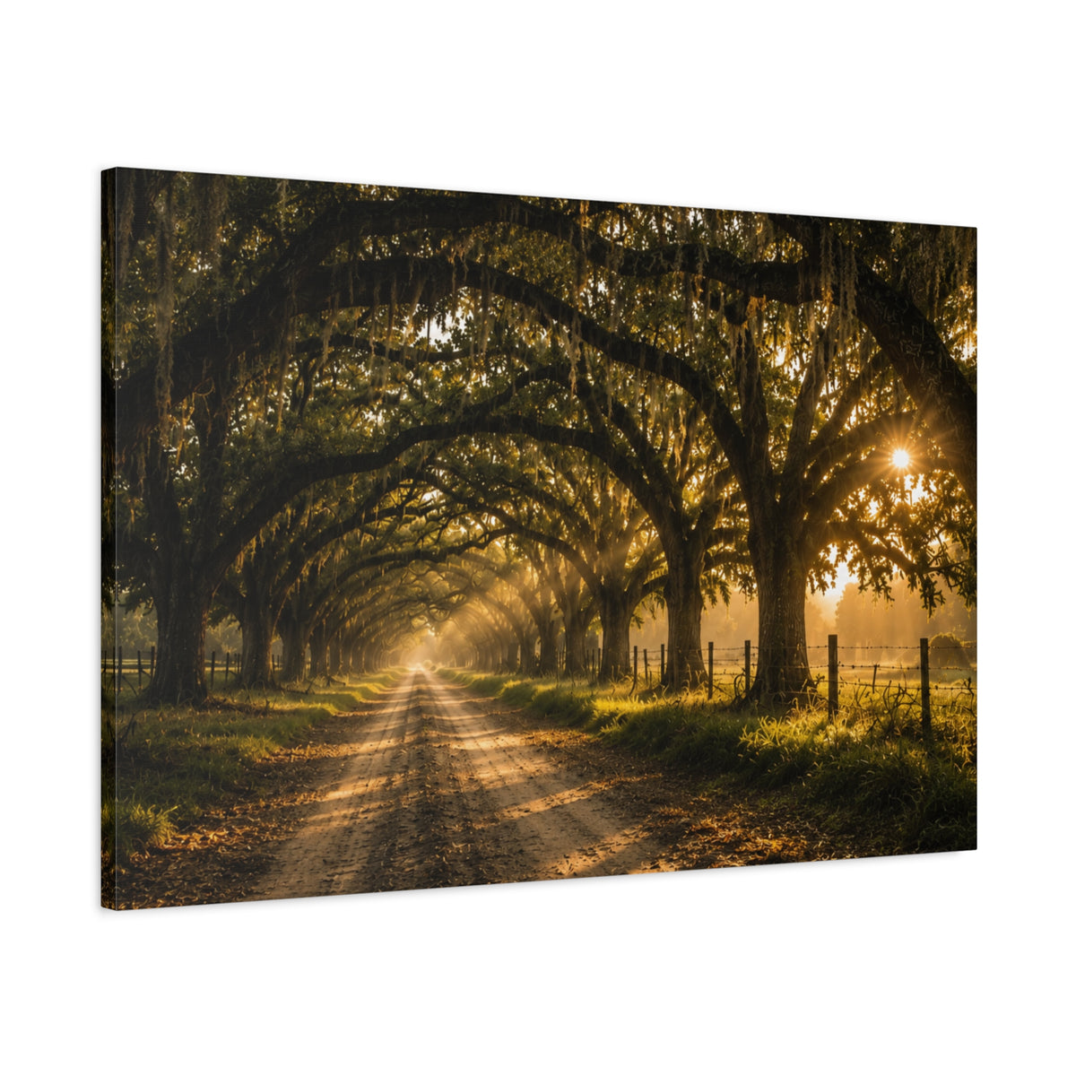 A rectangular Sunday Morning canvas print showing a sunlit dirt road beneath a tunnel of moss-draped oak trees, with fences and warm morning light filtering through the branches, photographed at an angle on a white background.