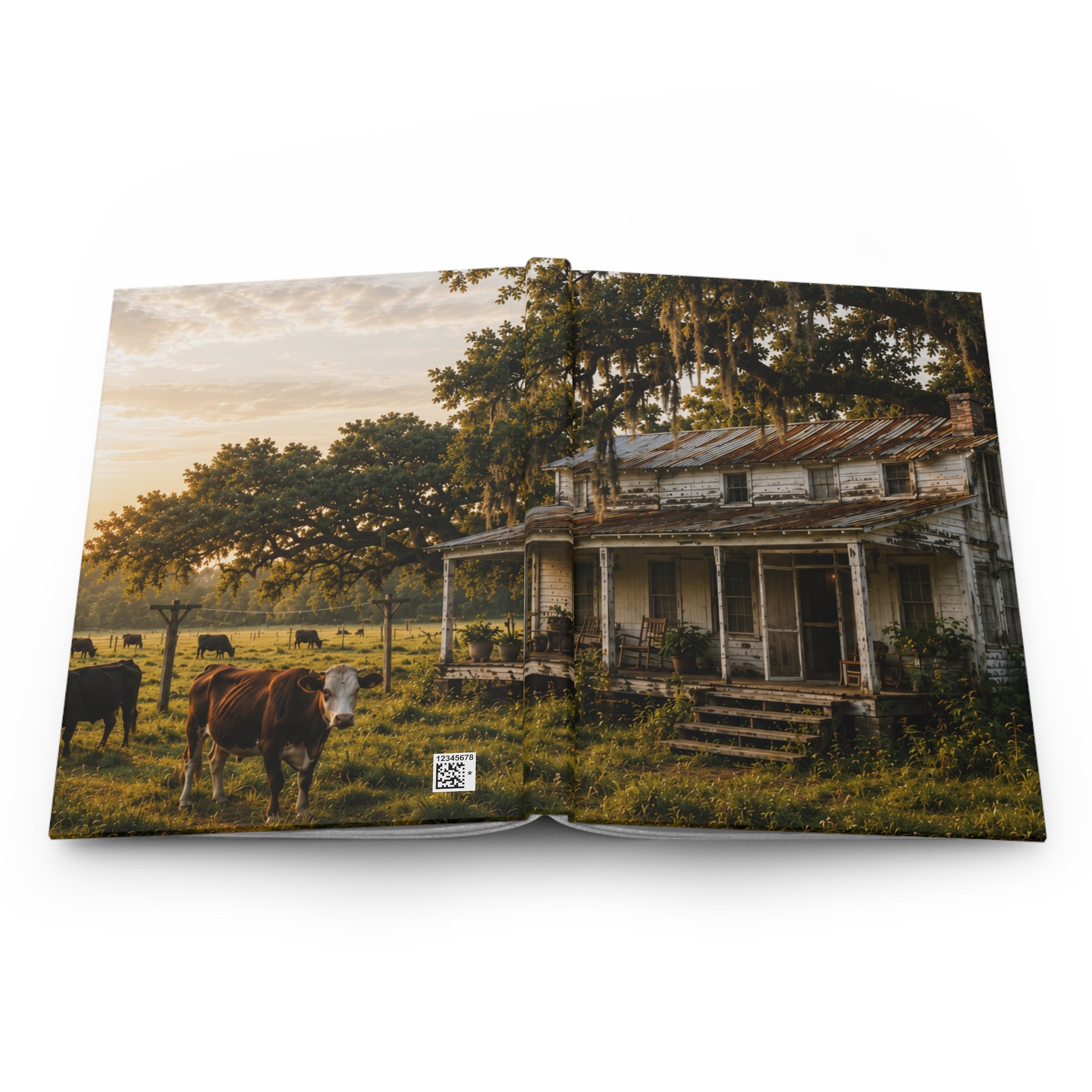 The Good Old Homestead