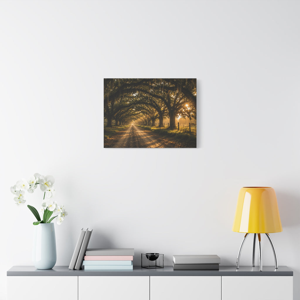 A Sunday Morning canvas print showing a sunlit dirt road beneath a tunnel of moss-draped oak trees, with fences and warm morning light filtering through the branches, displayed on a white wall above a console with a yellow lamp, books, and white flowers.
