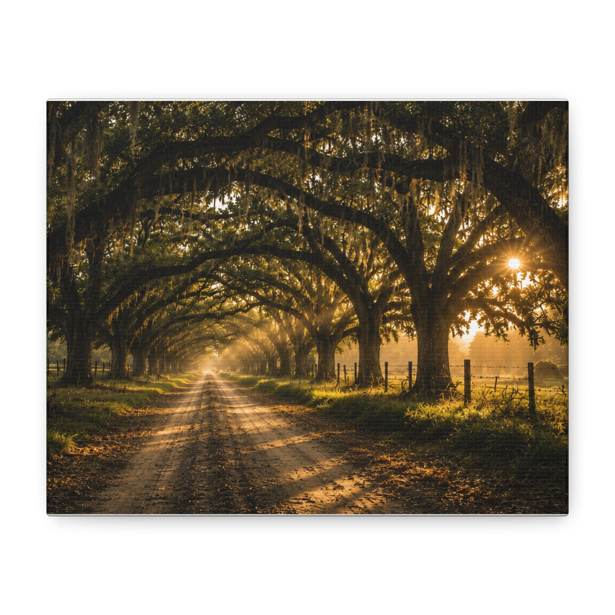 A rectangular Sunday Morning canvas print showing a sunlit dirt road beneath a tunnel of moss-draped oak trees, with fences and warm morning light filtering through the branches, photographed at an angle on a white background.