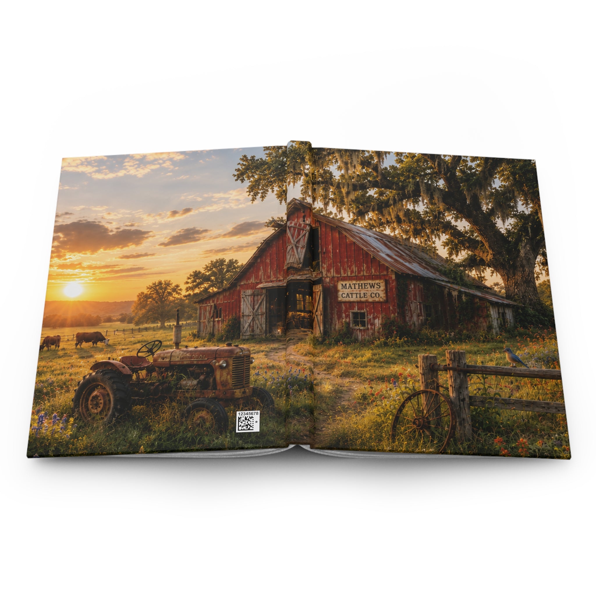 The Old Red Barn