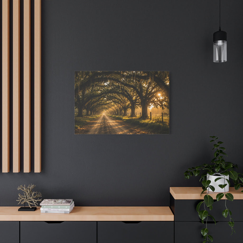 A rectangular Sunday Morning canvas print showing a sunlit dirt road beneath a tunnel of moss-draped oak trees, with fences and warm morning light filtering through the branches, displayed on a dark charcoal wall above a light wood console with books, a plant, and decor.