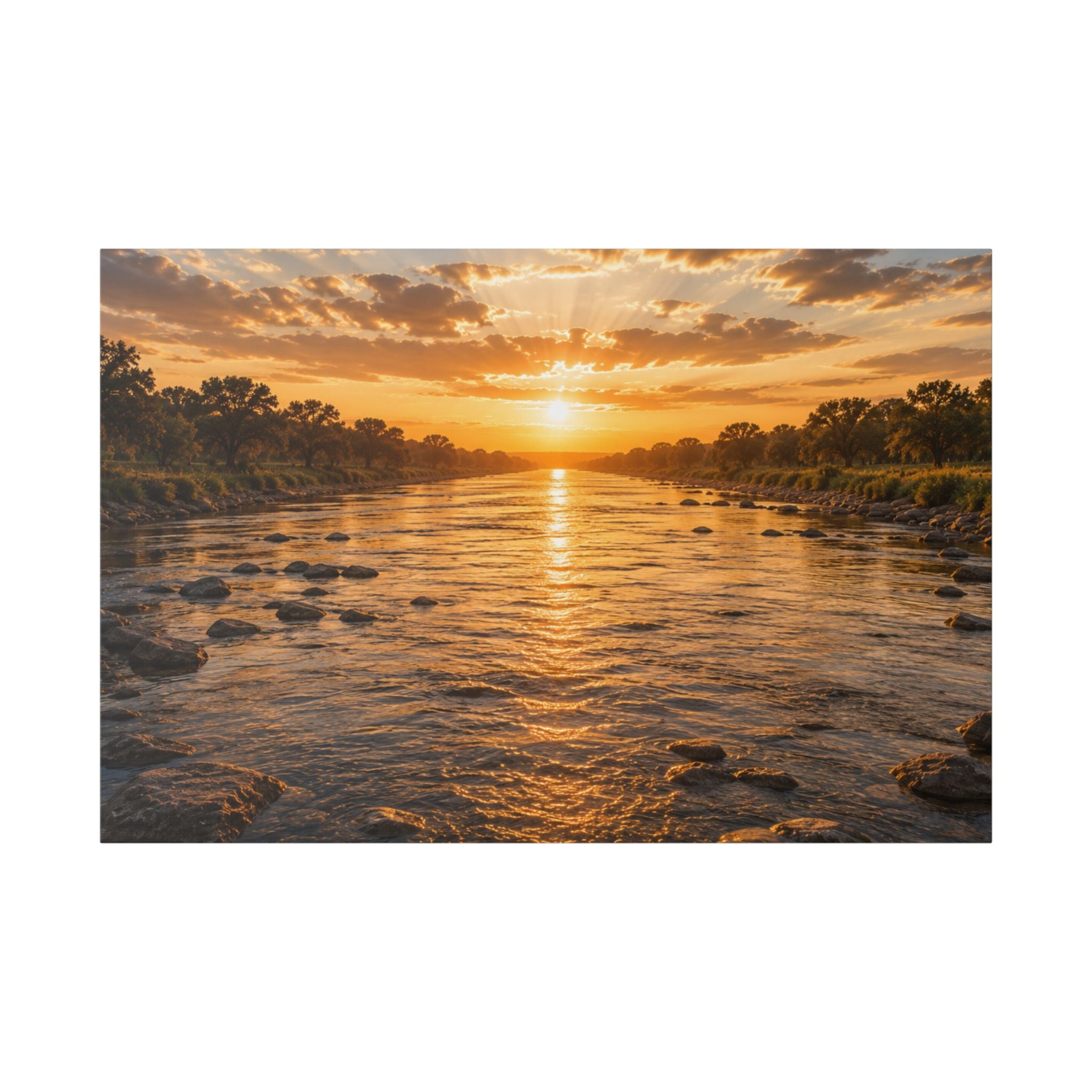 The River