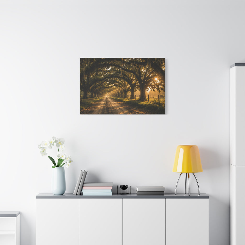 A Sunday Morning canvas print showing a sunlit dirt road beneath a tunnel of moss-draped oak trees, with fences and warm morning light filtering through the branches, displayed on a white wall above a console with a yellow lamp, books, and white flowers.